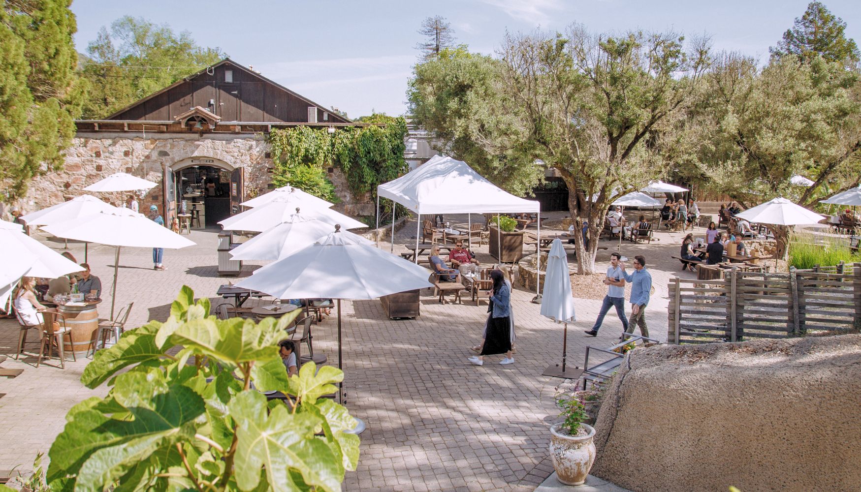 Gundlach Bundschu Winery