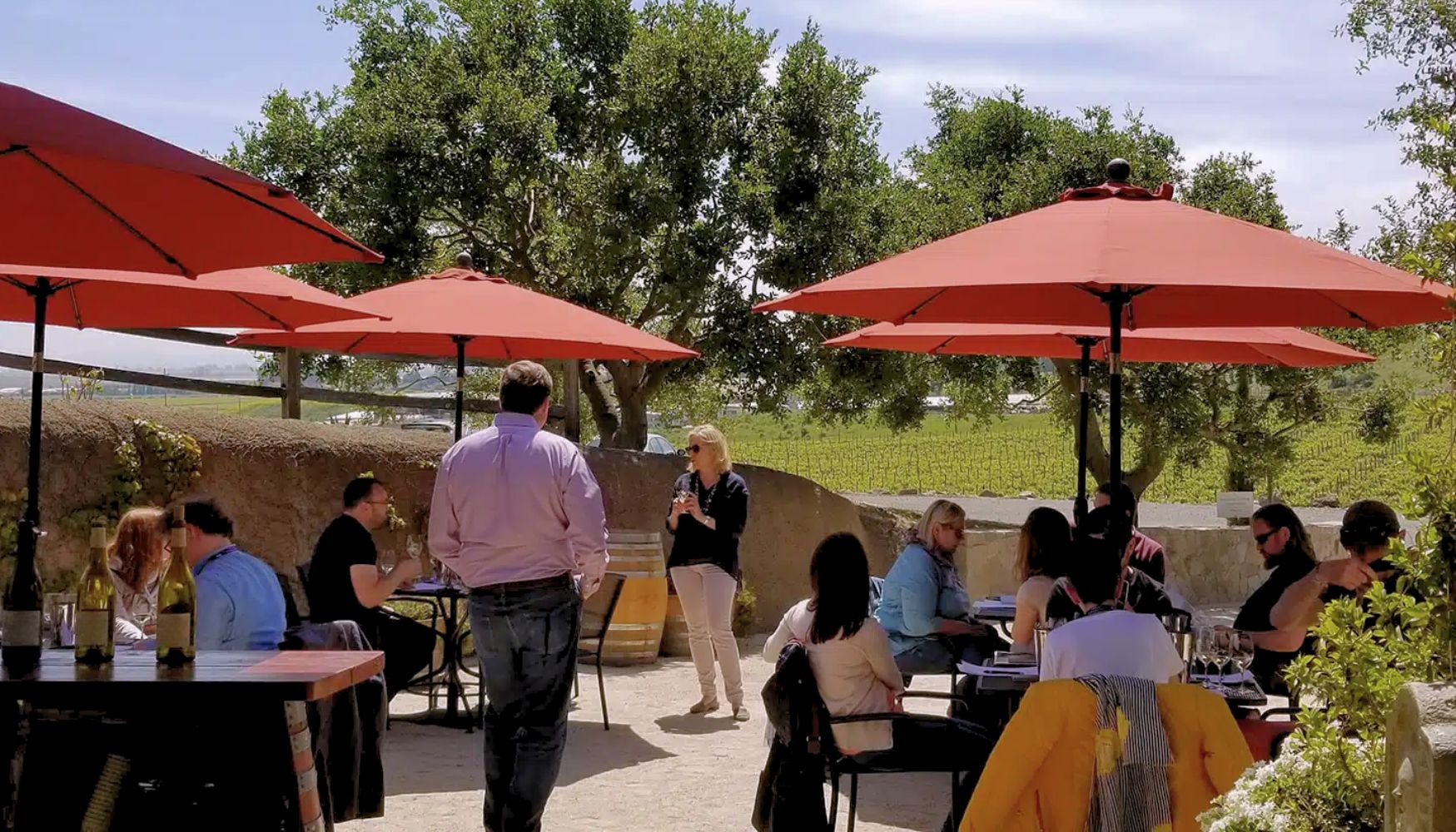 Schug Winery